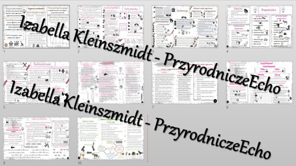 Zestaw sketchnotek – notatek do całego działu „Ekologia” wykonanych w power point do edycji. Biologia 8