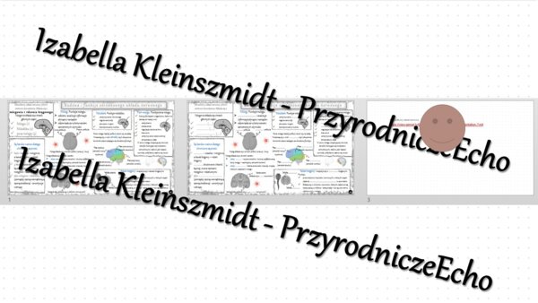 Minizestaw na temat „Ośrodkowy układ nerwowy” – sketchnotka + karta pracy w power point + gratisowy link do prezentacji multimedialnej niekomercyjnej wykonanej w genial.ly do indywidualnego pobrania i użycia do celów niekomercyjnych. Biologia 7, „Regulac