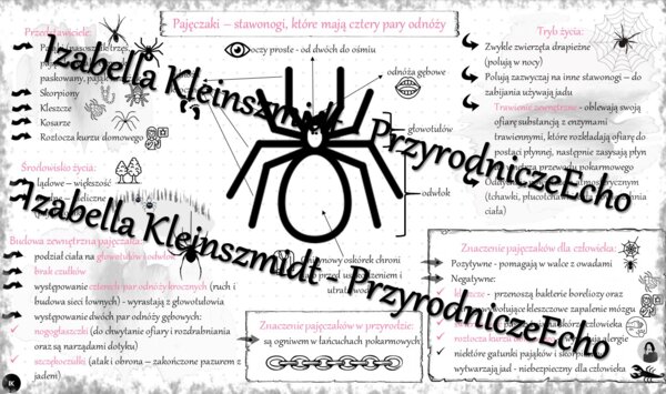 Sketchnotka - notatka „Pajęczaki – stawonogi, które mają cztery pary odnóży” wykonana w power point do edycji. Biologia 6; „Stawonogi i mięczaki”