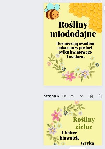 Światowy Dzień Pszczół