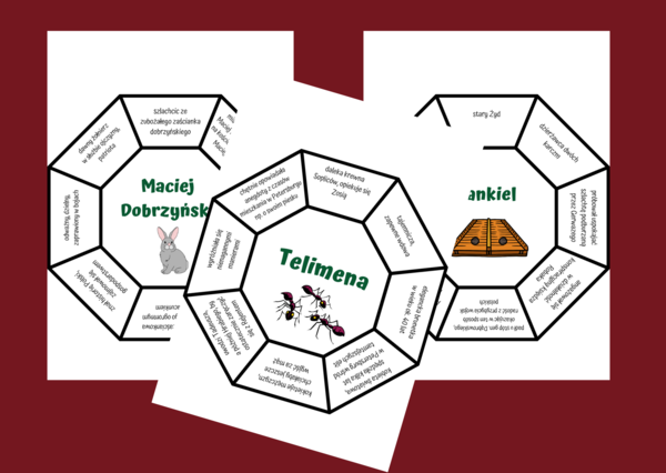 "PAN TADEUSZ" - bohaterowie - układanka - fiszki - powtórka - egzamin - 12 szt.
