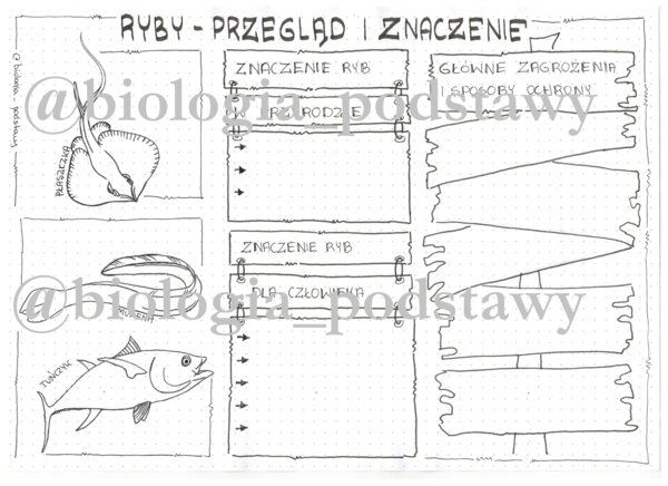 Klasa 6 - Ryby - przegląd i znaczenie - KP7