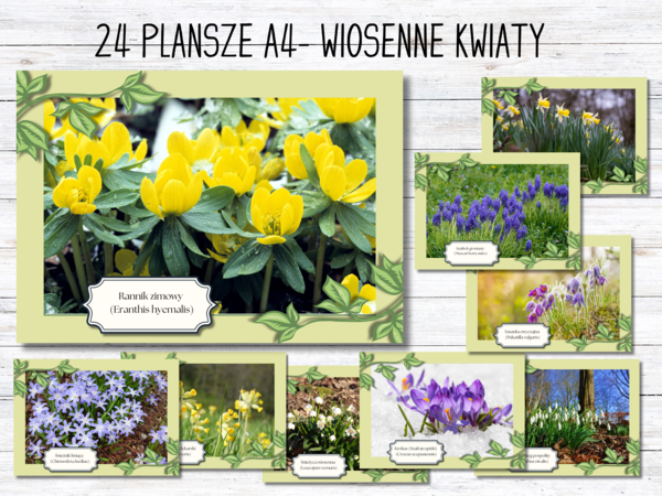 WIOSENNE KWIATY - 24 plansze edukacyjne