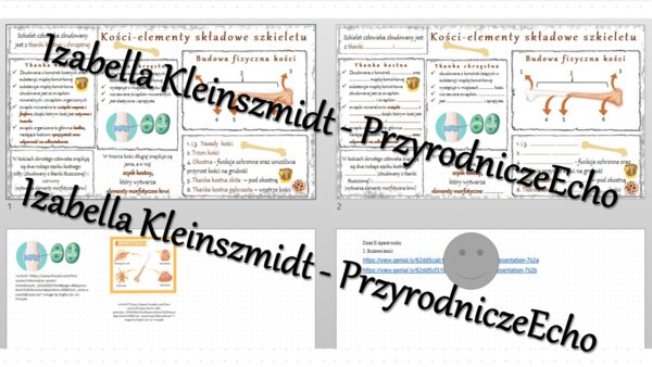 Minizestaw na temat „„Budowa kości” – sketchnotka + karta pracy w power point + gratisowy link do prezentacji multimedialnej niekomercyjnej wykonanej w genial.ly do indywidualnego pobrania i użycia do celów niekomercyjnych. Biologia 7, „Układ ruchu”