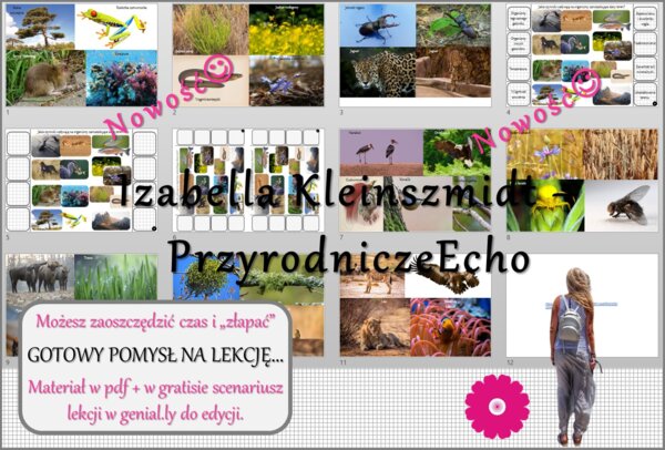 Pomysł na lekcję/karta pracy/stacje zadaniowe/notatki/ materiał do lekcji do tematu „Organizm a środowisko” w pdf. W gratisie niekomercyjny scenariusz lekcji/pomysł na lekcję w programie genial.ly do edycji. Na podstawie wydawnictwa Nowa Era. Biologia 8.