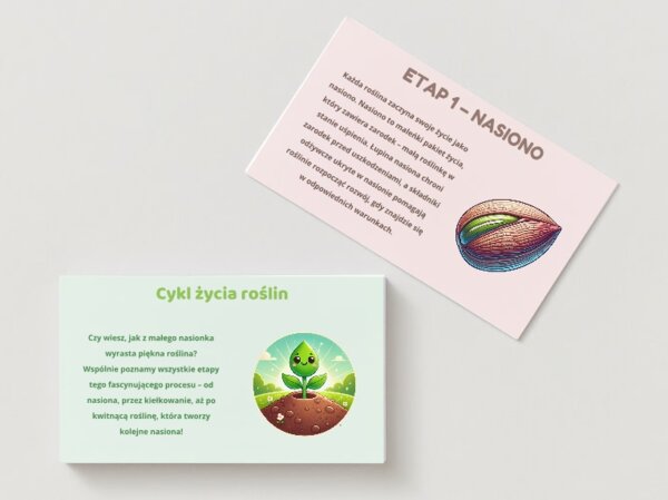 PLANSZA - Cykl życia roślin