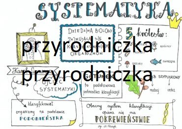 Klasa 8. Biologia. Systematyka