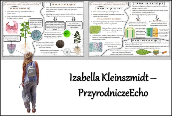 Sketchnotka/notatka/streszczenie/wklejka/ściąga dla ucznia i nauczyciela. Temat „Czy istnieje związek między budową tkanki a jej funkcją?” w pdf. Biologia 5 dział „Tkanki i organy roślinne”. Wykonana na podstawie podręcznika z wydawnictwa WSiP.