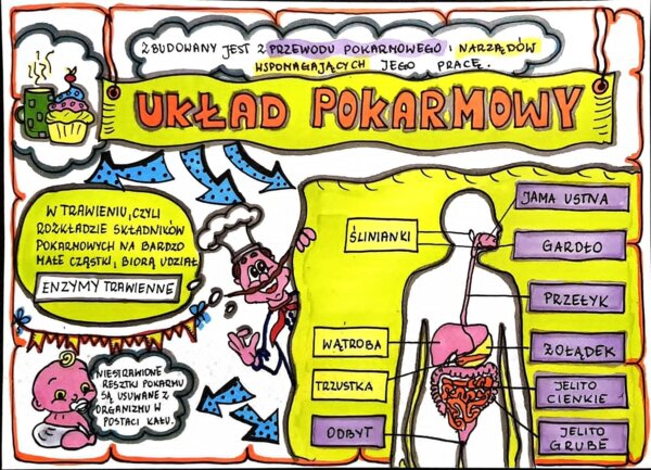 Klasa 4. Przyroda. Karta pracy. Układ pokarmowy