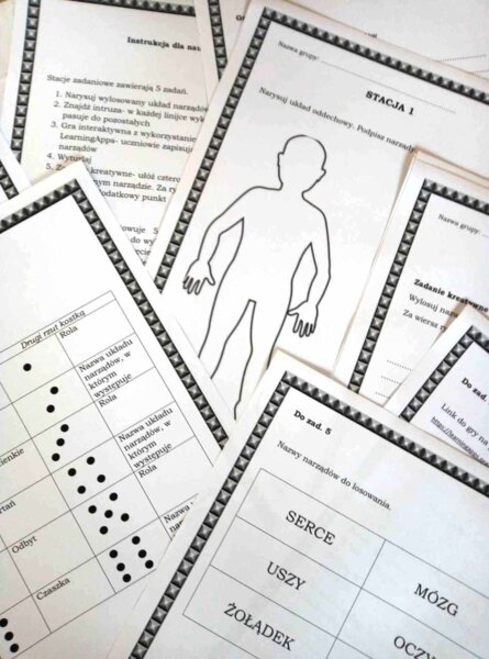 Stacja zadaniowa dla klasy 4 na podsumowanie działu Odkrywamy tajemnice ciała człowieka