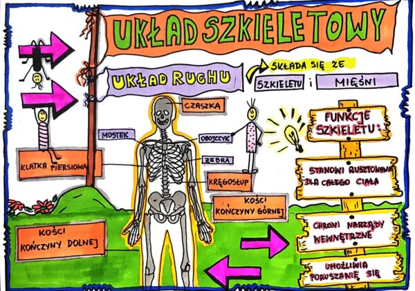 Klasa 4. Przyroda. Karta pracy. Układ szkieletowy