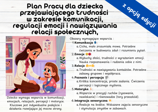 Plan Pracy dla dziecka przejawiającego trudności w zakresie komunikacji, regulacji emocji i nawiązywania relacji społecznych