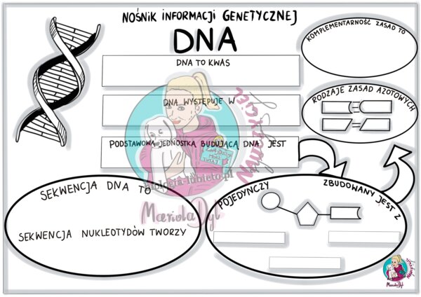 Nośnik informacji genetycznej DNA- karta pracy klasa 8
