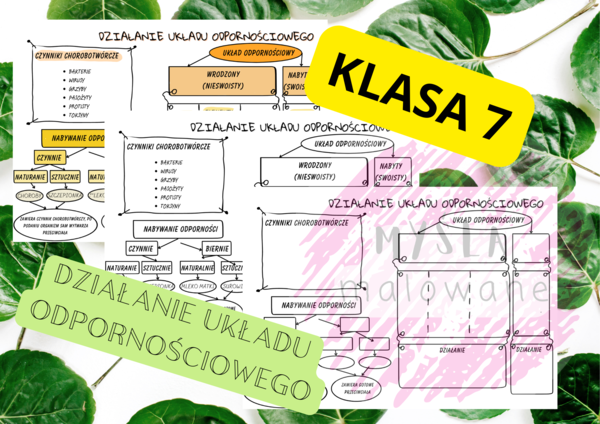 Biologia 7. Działanie układu odpornościowego. Plakat + sketchnotka+ karta pracy