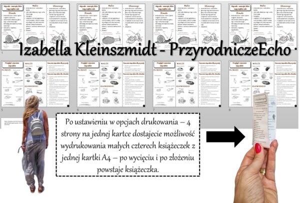 Broszurka/notatka/sketchnotka/wklejka/ściąga dla ucznia/przypomnienie dla nauczyciela w pdf. Biologia 6 „Stawonogi i mięczaki” – „Mięczaki-zwierzęta, które mają muszlę”.