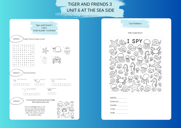 Tiger and Friends 3 Unit 6 At the seaside Vocabulary 2