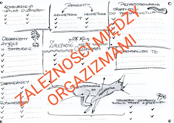 RELACJE MIĘDZY ORGANIZMAMI