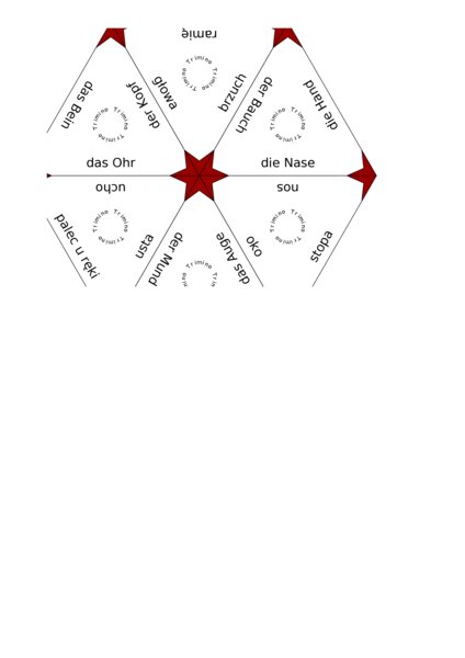 Trimino Körperteile