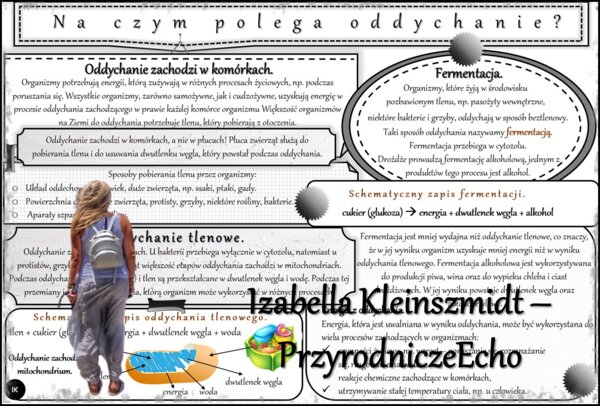 Sketchnotka/notatka/streszczenie/wklejka/ściąga dla ucznia i nauczyciela. Temat „Na czym polega oddychanie?” w pdf. Biologia 5 dział „Organizacja i chemizacja życia”. Wykonana na podstawie podręcznika z wydawnictwa WSiP.