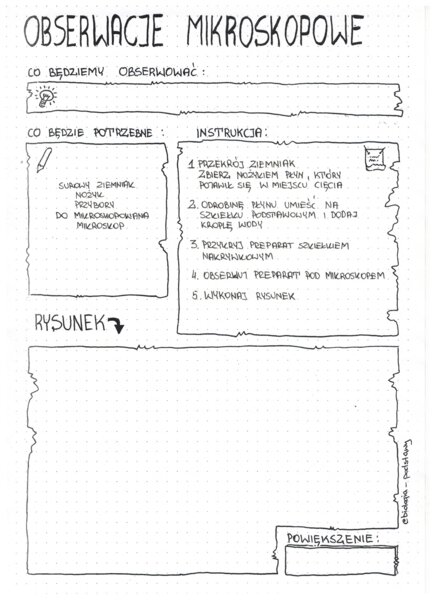Obserwacje mikroskopowe: klasa 5