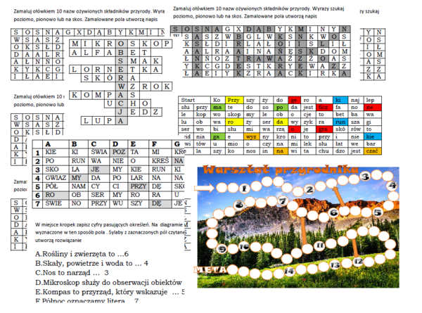 Zestaw 5 pomocy na podsumowanie lekcji przyrody z działu 1 "Tajemnic przyrody"