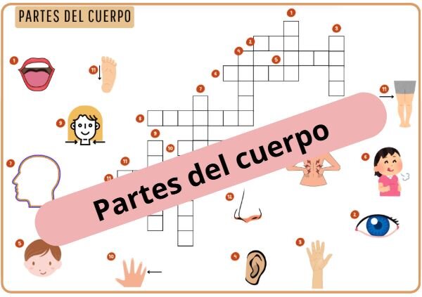 Krzyżówka obrazkowa "Las partes del cuerpo" (części ciała) - z odpowiedziami