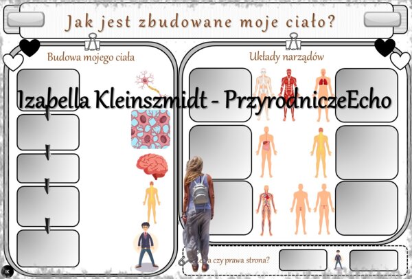 Karta pracy „Jak jest zbudowane moje ciało?” wykonana w power point do edycji. Przyroda 4, „Ja i moje ciało” na podstawie wydawnictwa WSiP