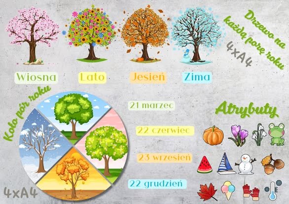 💚 PAKIET PORY ROKU 💚