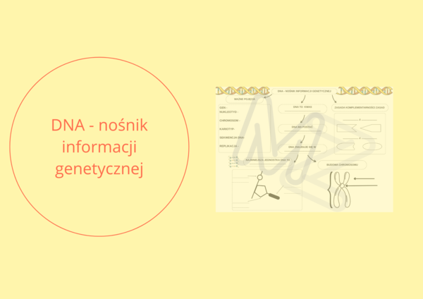 DNA - nośnik informacji genetycznej - KARTA PRACY