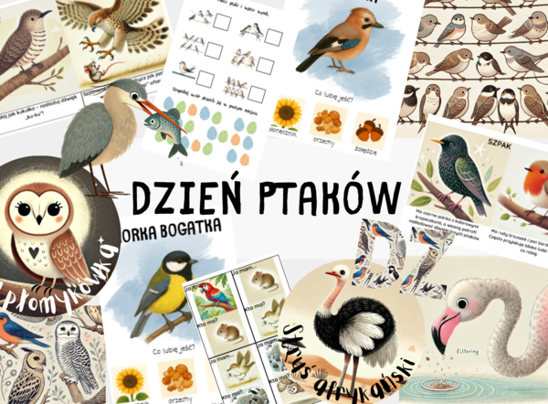 Dzień Ptaków