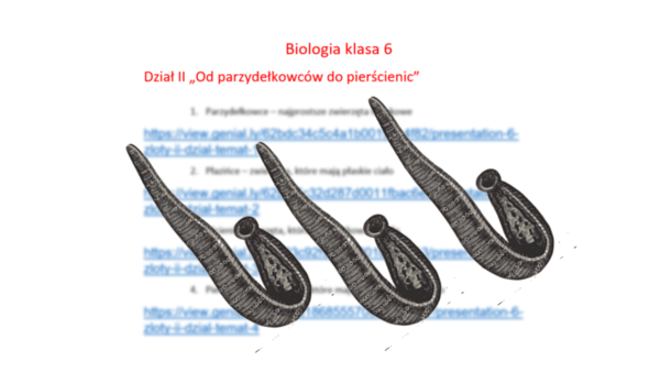 Zestaw prezentacji multimedialnych (4) w genial.ly z biologii do klasy VI. Dział II „Od parzydełkowców do pierścienic” – według wydawnictwa Nowa Era