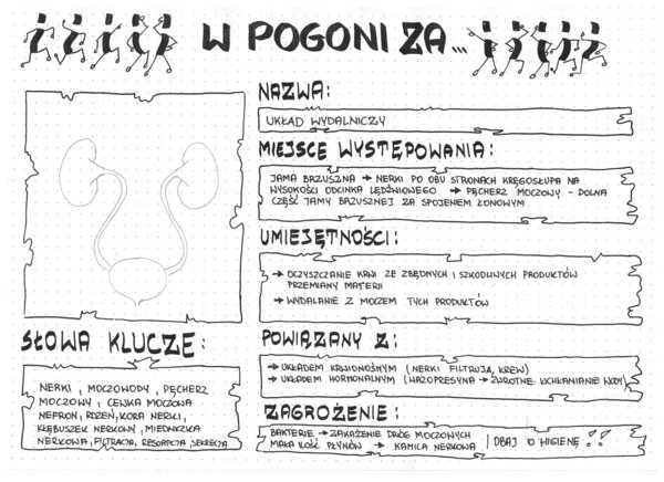 W pogoni za układem wydalniczym