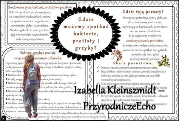 Sketchnotka/notatka/streszczenie/wklejka/ściąga dla ucznia i nauczyciela. Temat „Gdzie możemy spotkać bakterie, protisty i grzyby?” w pdf. Biologia 5 dział „Klasyfikacja i systematyka. Wirusy. Bakterie. Prostisty. Grzyby.”. Wykonana na podstawie podręczn