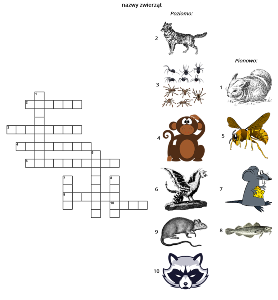 Krzyżówka - głoska [sz] nazwy zwierząt bogacenie słownika słownictwo
