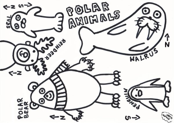 Polar animals