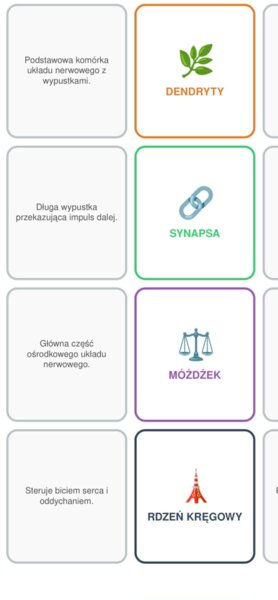 Układ nerwowy memory