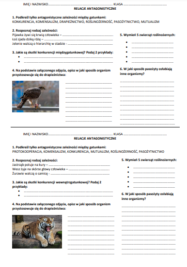 Zależności antagonistyczne - sprawdzian
