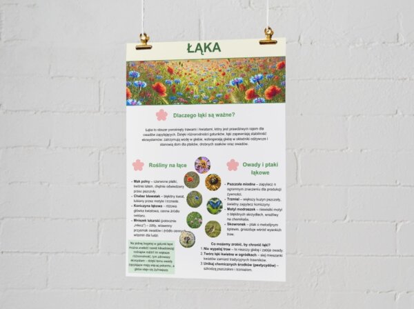 Plakaty o ekosystemach. Las, łąka, jezioro, morze, góry.