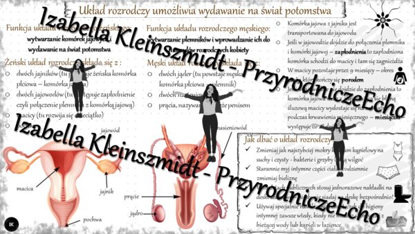 Sketchnotka „Układ rozrodczy umożliwia wydawanie na świat potomstwa ” w power point do edycji, PRZYRODA do klasy 4 – dział IV „Odkrywamy tajemnice ciała człowieka”