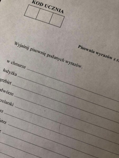 Pisownia wyrazów z rz i ż. Sprawdzian/karta pracy