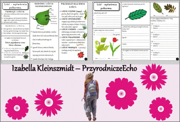 Minizestaw do tematu „Liść - wytwórnia pokarmu” – sketchnotka + karta pracy w pdf + gratisowy link do prezentacji multimedialnej niekomercyjnej wykonanej w genial.ly do indywidualnego pobrania i użycia do celów niekomercyjnych. Biologia 5, Dział „Tkanki 