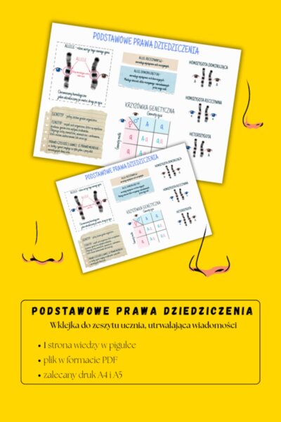 Podstawowe prawa dziedziczenia – sketchnotka – wklejka | Biologia | klasa 8