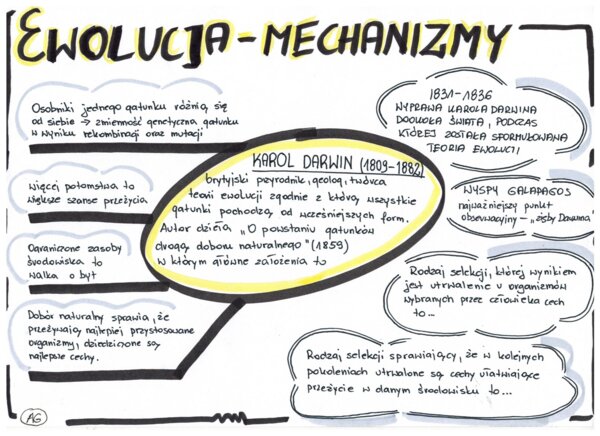 Biologia. Mechanizmy ewolucji - klasa 8