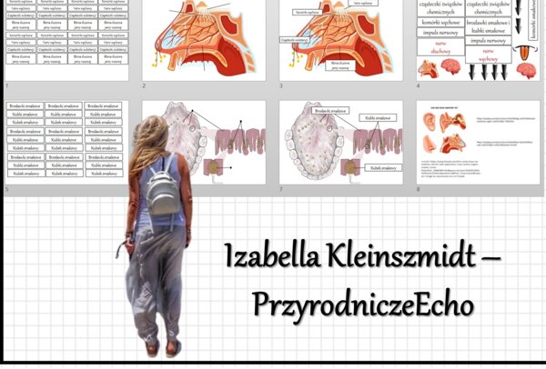 Materiał do zalaminowania/praca w grupach/stacje zadaniowe/układanka/puzzle „Zmysły powonienia, smaku i dotyku”, Biologia 7. Dział „Narządy zmysłów”