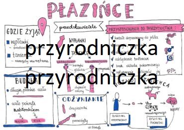 Klasa 6. Biologia. Płazińce