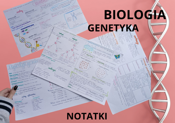 MEGA PAKA: Genetyka & Podziały Komórkowe – Notatki Wizualne: Mitoza, Mejoza, DNA, Krzyżówki genetyczne