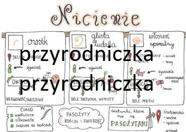 Klasa 6. Biologia. Nicienie