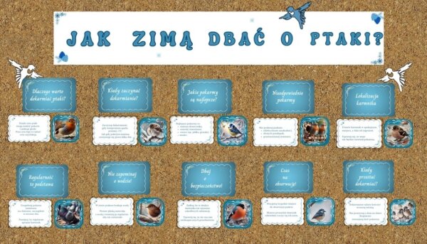 Gazetka o dokarmianiu ptaków zimą w 2 wersjach kolorystycznych.