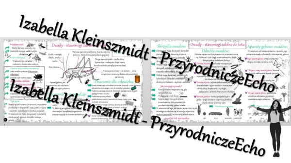 Sketchnotka - notatka „Owady - stawonogi zdolne do lotu” wykonana w power point do edycji. Biologia 6; „Stawonogi i mięczaki”