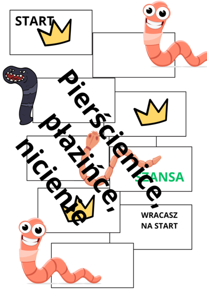 Gra planszowa Pierścienice, płazińce, nicienie